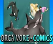 maxresdefault.jpg from orca vore