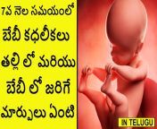 maxresdefault.jpg from telugu lades pregnant delivery video in hospital telugu