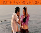 maxresdefault.jpg from film jungle love hot song koyaliya gati