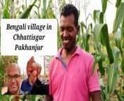maxresdefault.jpg from chhattisgarh pakhanjore sex videos