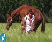 maxresdefault.jpg from bokep manusia vs kuda sampeapdum com