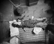 42e47bf800000578 4752660 the gruesome photos including this one of a woman lying dead inm 51 1501664139208.jpg from murder old woman