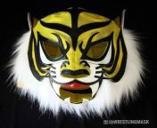 s l1600.jpg from tiger mask