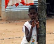 a tamil boy in the menikf 001 jpgwidth465dpr1snone from lanka demala ala six photos