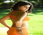 tapsee latest hot pics vastadu naa raju 04.jpg from www telugu actress tapsi xxx