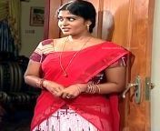 neepa tamil tv actress pondts1 6 hot saree pics jpgw480ssl1 from tamil acter neepa hot video