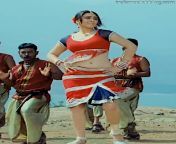 hansika motwani tamil velayudham 9 hot navel hd caps jpgssl1 from hansika navel in velaayudam movie