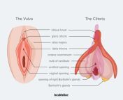 the ultimate guide to clitoral stimulation 01 1296x967 jpgw1155h4013 from clitrosis vagina