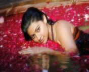1412938381 south star snehas sexy photos.jpg from xxx sneha sex images hd photo