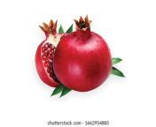 ripe pomegranate dadam dadm fruits 260nw 1662954883.jpg from dadam