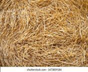 hay texture bales stacked large 260nw 1473859184.jpg from hay jpg