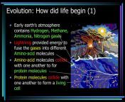 evolution how did life begin 1 l.jpg from how live begins