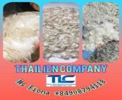 high quality dried fish scale export form vietnam with good .jpg from indian duc