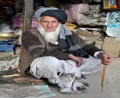 bart man turban bedouin old afghan afghanistan 121 62975.jpg from afgan oldman