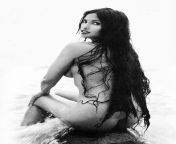 padma lakshmi nude naked porn 20 395x550 optimized.jpg from nude ass lakshmi