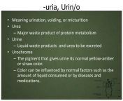 uria urin o l.jpg from 星空体育⅕⅘☞tg@ehseo6☚⅕⅘星空官方网站•uria