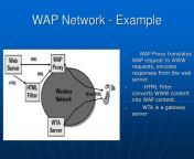wap network example l.jpg from wap top net