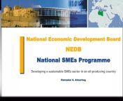 national economic development board nedb national smes programme n.jpg from nedb