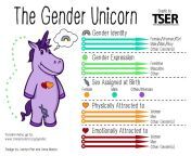 the gender unicorn infographic.jpg from sex vs an