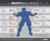 issa body balance infographic.jpg from bady balan