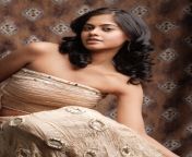 film heroine bindu madhavi hot in modern dress 22.jpg from tamil heroini dres