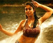 18 nayantara3.jpg from tamil actress nayanthara sex video download 3g