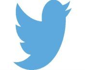 twitter logo main12.jpg from twitter