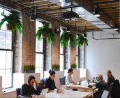 office space filled with the best office plants from office gayamil