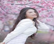 free photo of cherry blossoms jpegautocompresscstinysrgbdpr1w500 from 张柏芝性爱