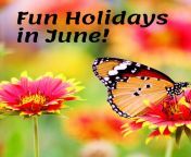 crazy silly holidays in june that youll have fun celebrating.png from crazy holiday j