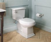 white american standard two piece toilets 2917228 020 64 1000.jpg from toilet s