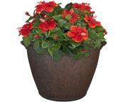 dark brown sunnydaze decor plant pots dg 844 64 300.jpg from curvy thick woman drilled