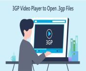 3gp video player.jpg from pe 3gp