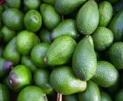 avocadoes 23922 2.jpg from sugar mummy tweak oily