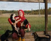 mulher foi ao abrigo de animais para escolher o amigo filhote cuddle e amamentar a ninhada de huskies do alasca 666347 2943.jpg from mulher amamenta filhote de cachorro no peito
