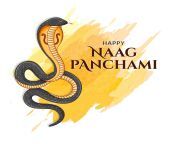 happy naag panchami indian festival 156779 367 jpgw2000 from naag soom