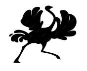 silueta negra ute avestruz corriendo dibujos animados aves no voladoras africanas diseno animales planos vector ilustracion aislado sobre fondo blanco 257455 2904 jpgw900 from amiga baÃƒÂƒÃ‚ÂƒÃƒÂ‚Ã‚Â±o