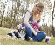 517399923.jpg from woman breastfeeds puppy in south africa
