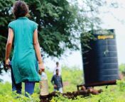 open defecation bhopal 2017824 141639 24 08 2017.jpg from जंगल में टॉयलेट करती हुई लेडी