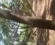 10.jpg from baliapal odisha desi sex video 18qt c