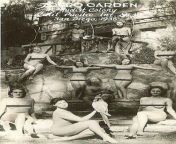 zoro garden was the biggest money maker for the exhibition photo u1autoformatq60fitcropfmpjpgdpr2w375 from coloni nude