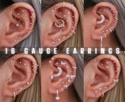 16 gauge earrings 600x600 crop center pngv1705266077 from 16 ears