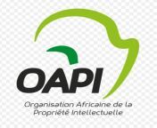 oapi new logo organisation africaine de la propriete intellectuelle jpgw676 from oapi9e 9msy