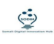 somali digital innovation hub.jpg from hub somali