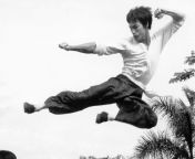 iconic bruce lee.jpg from bruce lee video