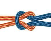 reef knot.jpg from knot young