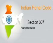 section307 jpgnew from indian get cum murder goal sex com