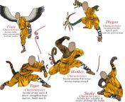 5 animal styles shao lin kung fu.jpg from kung fu technic