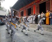 how to choose best kung fu schools in china.jpg from shaolin wushu kung fu school like tagou