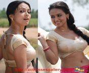 5473830304 a848b73fbc z.jpg from kollywood tamil mallu masala desi sexy movies desihotz blogspotxxx videos